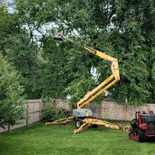 Best Tree Disease Treatment  in Merrimac, VA