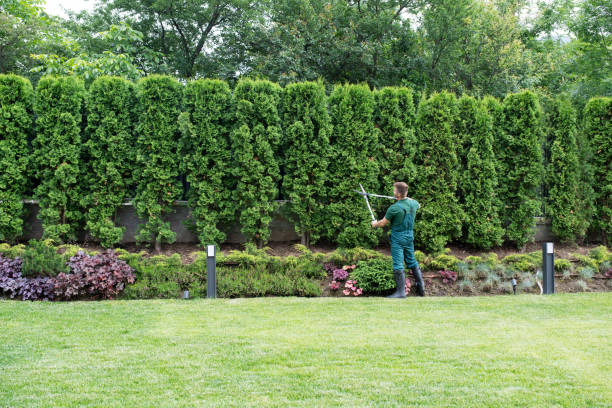 Best Tree Mulching  in Merrimac, VA