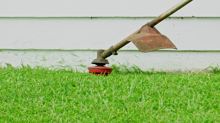 Best Artificial Turf Installation  in Merrimac, VA