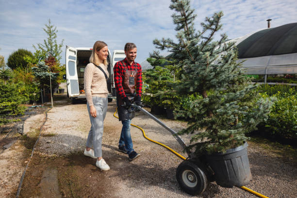 Best Lawn Mowing  in Merrimac, VA